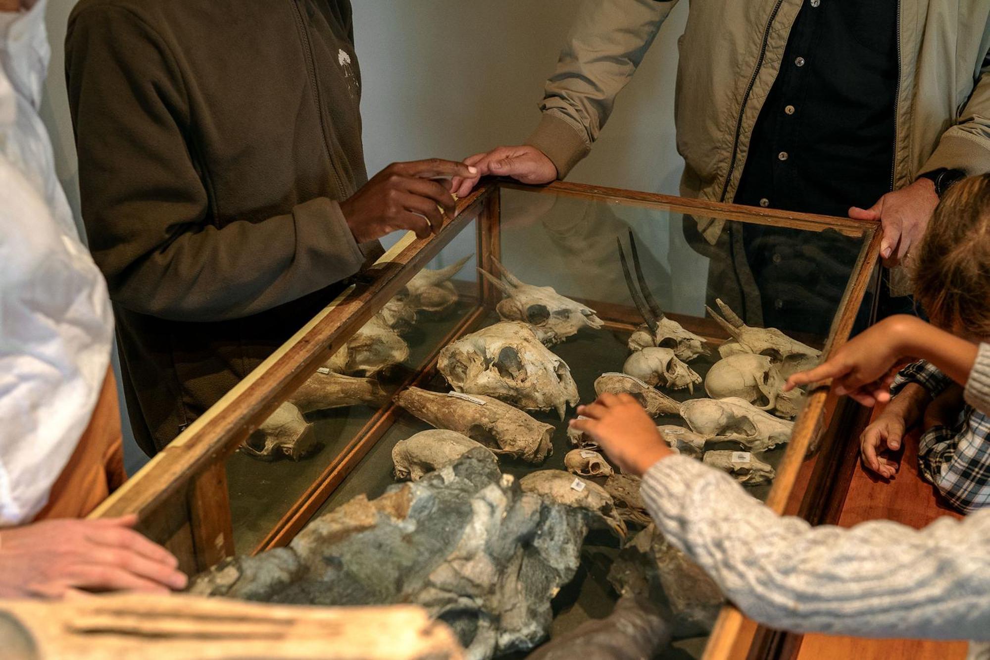 Samara Karoo Reserve Graaff-Reinet Buitenkant foto