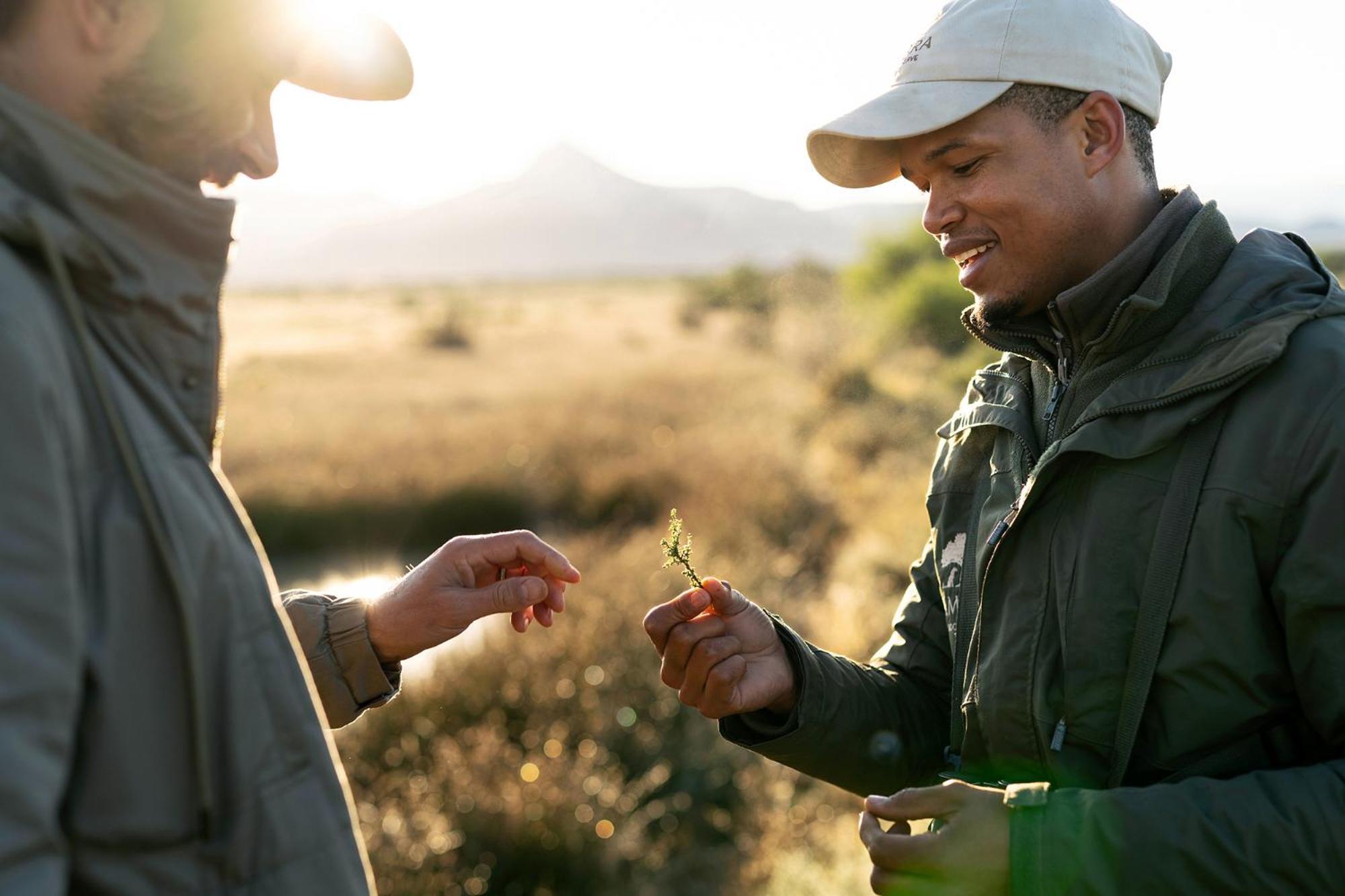 Samara Karoo Reserve Graaff-Reinet Buitenkant foto