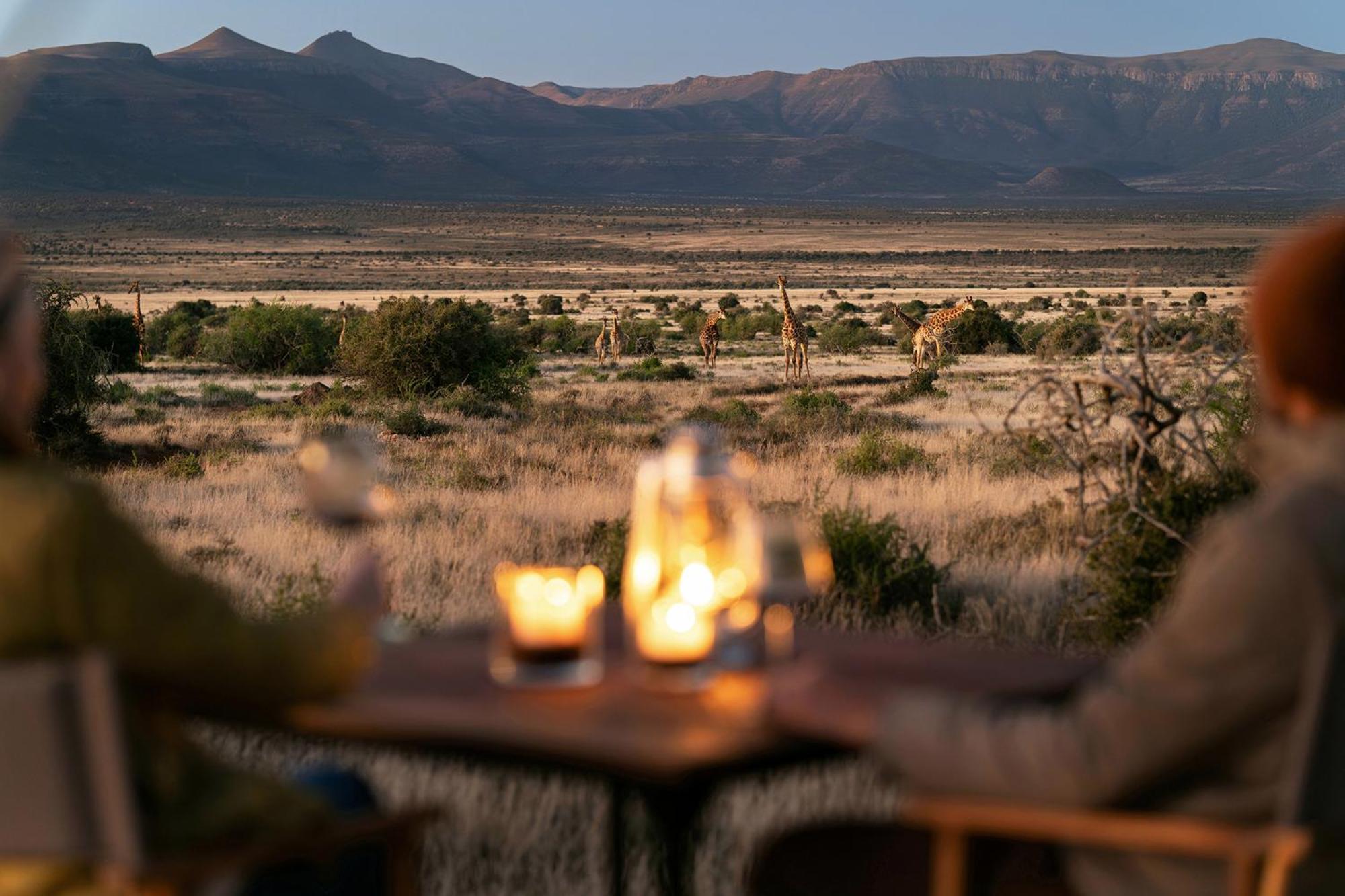 Samara Karoo Reserve Graaff-Reinet Buitenkant foto