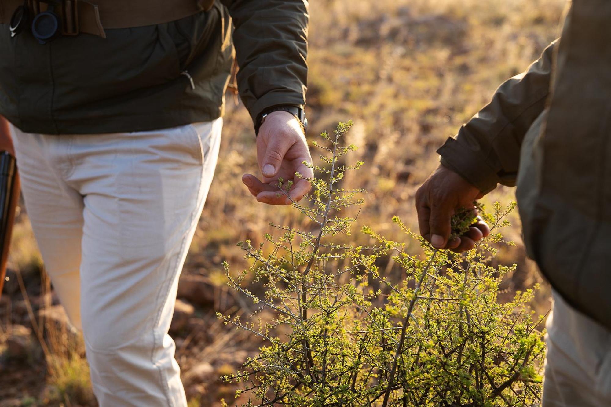 Samara Karoo Reserve Graaff-Reinet Buitenkant foto