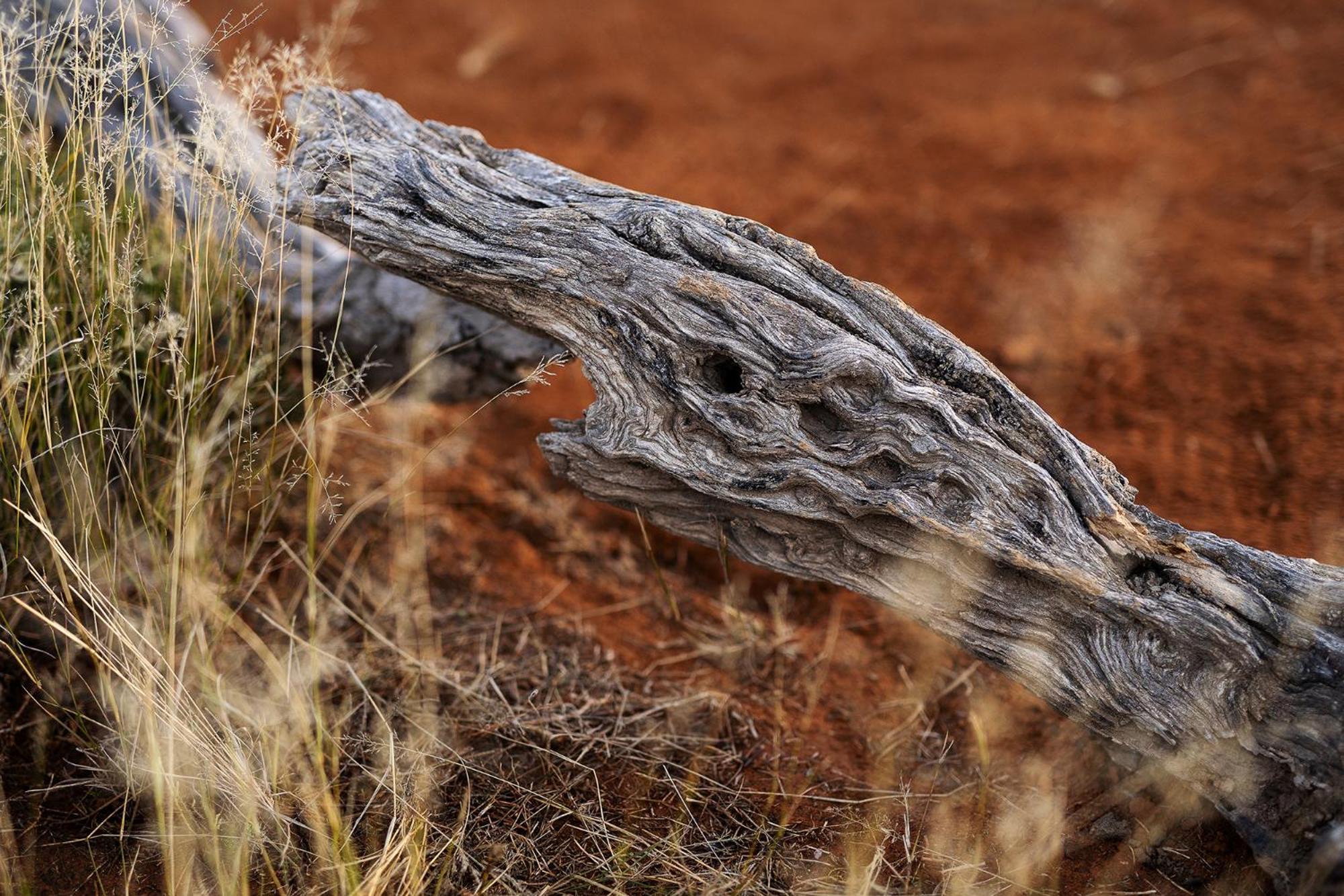 Samara Karoo Reserve Graaff-Reinet Buitenkant foto